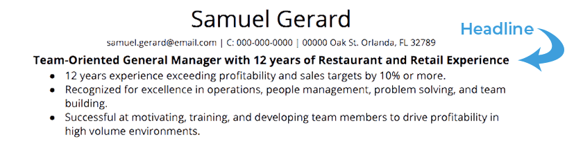resume headline examples no experience
