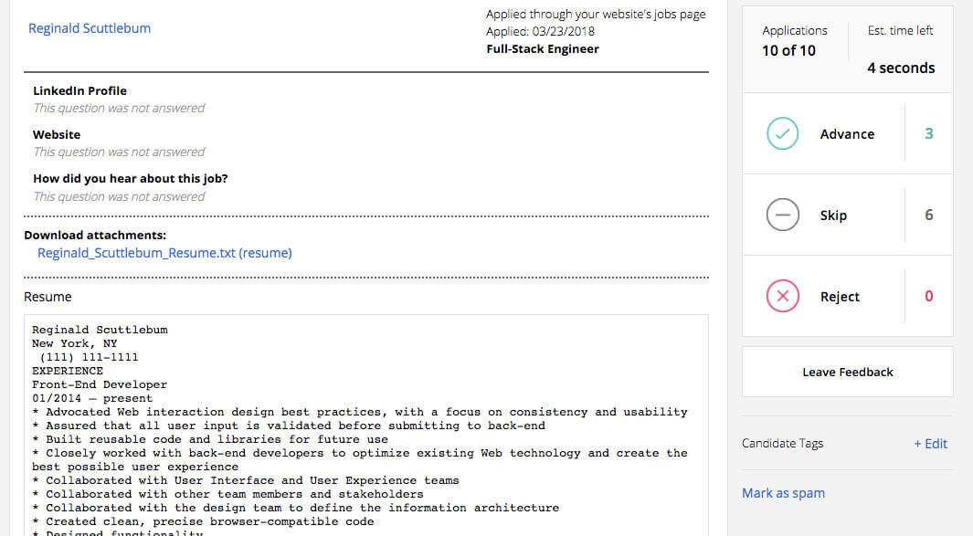 resume example 